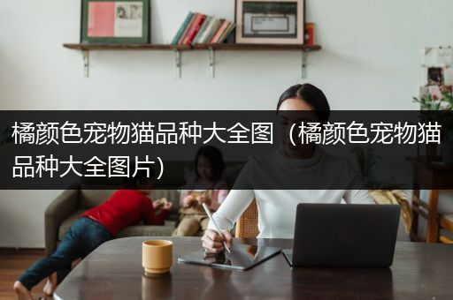 橘颜色宠物猫品种大全图（橘颜色宠物猫品种大全图片）