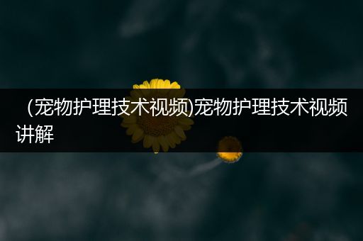 （宠物护理技术视频)宠物护理技术视频讲解