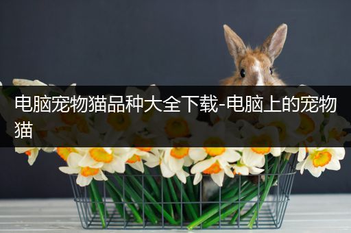 电脑宠物猫品种大全下载-电脑上的宠物猫