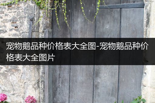 宠物鹅品种价格表大全图-宠物鹅品种价格表大全图片
