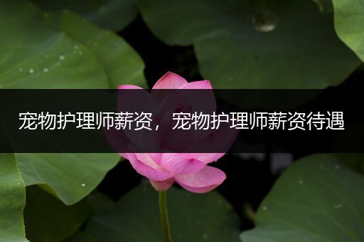 宠物护理师薪资，宠物护理师薪资待遇