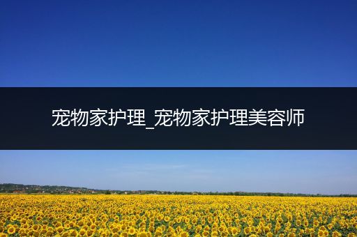 宠物家护理_宠物家护理美容师