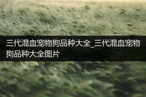 三代混血宠物狗品种大全_三代混血宠物狗品种大全图片