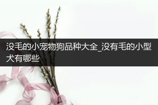 没毛的小宠物狗品种大全_没有毛的小型犬有哪些