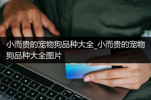 小而贵的宠物狗品种大全_小而贵的宠物狗品种大全图片