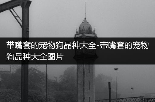带嘴套的宠物狗品种大全-带嘴套的宠物狗品种大全图片