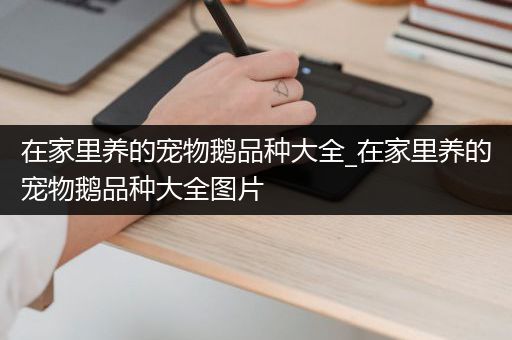 在家里养的宠物鹅品种大全_在家里养的宠物鹅品种大全图片