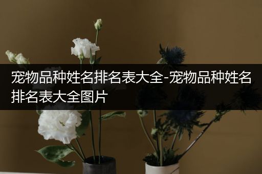 宠物品种姓名排名表大全-宠物品种姓名排名表大全图片