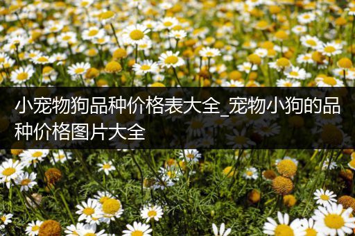 小宠物狗品种价格表大全_宠物小狗的品种价格图片大全
