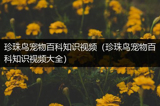 珍珠鸟宠物百科知识视频（珍珠鸟宠物百科知识视频大全）