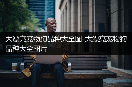 大漂亮宠物狗品种大全图-大漂亮宠物狗品种大全图片
