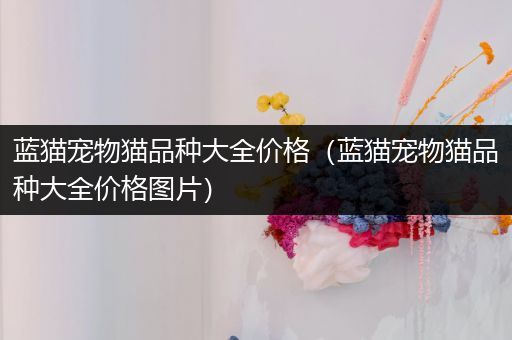蓝猫宠物猫品种大全价格（蓝猫宠物猫品种大全价格图片）