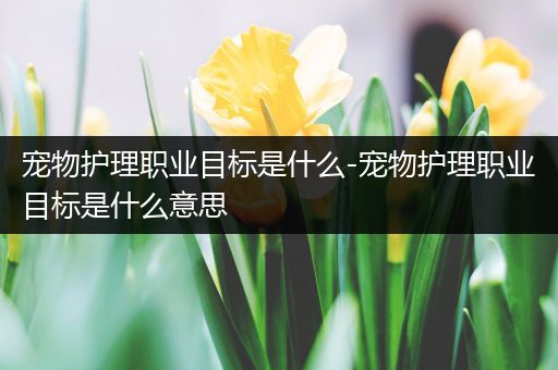 宠物护理职业目标是什么-宠物护理职业目标是什么意思