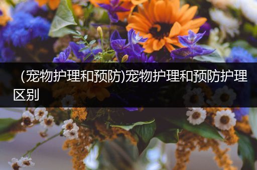 （宠物护理和预防)宠物护理和预防护理区别