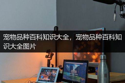 宠物品种百科知识大全，宠物品种百科知识大全图片