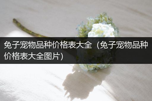 兔子宠物品种价格表大全（兔子宠物品种价格表大全图片）