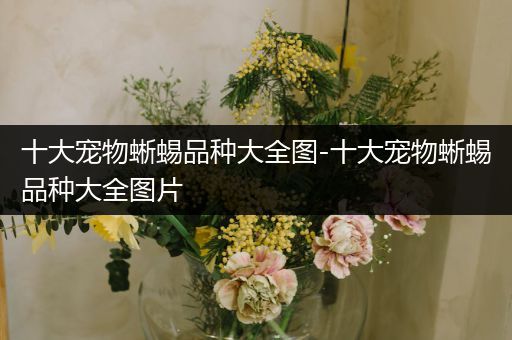 十大宠物蜥蜴品种大全图-十大宠物蜥蜴品种大全图片