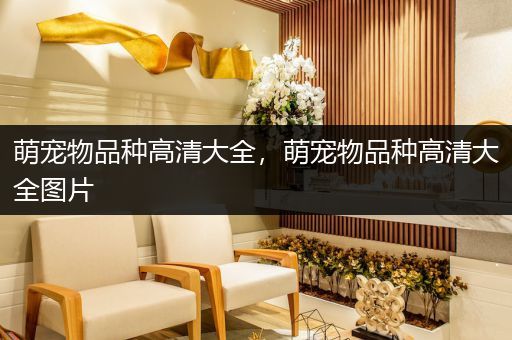 萌宠物品种高清大全，萌宠物品种高清大全图片