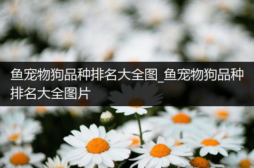 鱼宠物狗品种排名大全图_鱼宠物狗品种排名大全图片