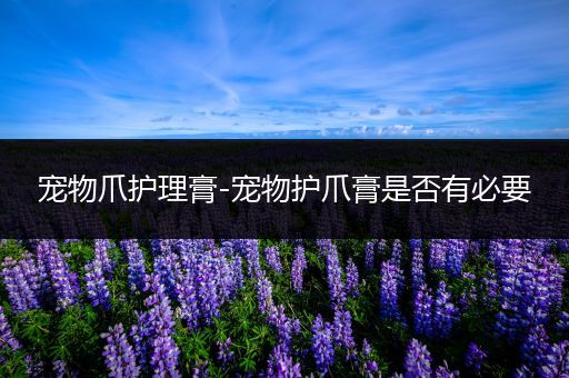 宠物爪护理膏-宠物护爪膏是否有必要