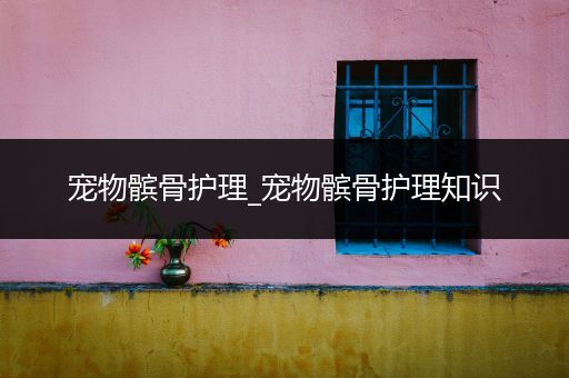 宠物髌骨护理_宠物髌骨护理知识