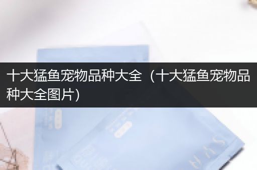 十大猛鱼宠物品种大全（十大猛鱼宠物品种大全图片）