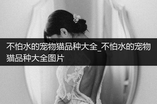 不怕水的宠物猫品种大全_不怕水的宠物猫品种大全图片