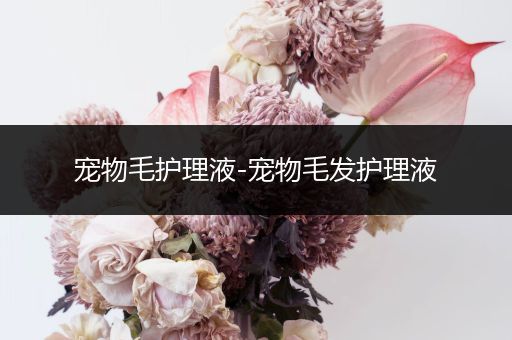 宠物毛护理液-宠物毛发护理液