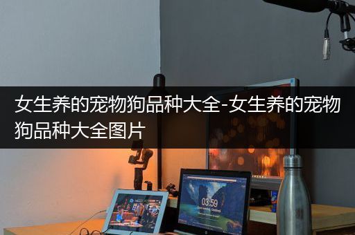女生养的宠物狗品种大全-女生养的宠物狗品种大全图片