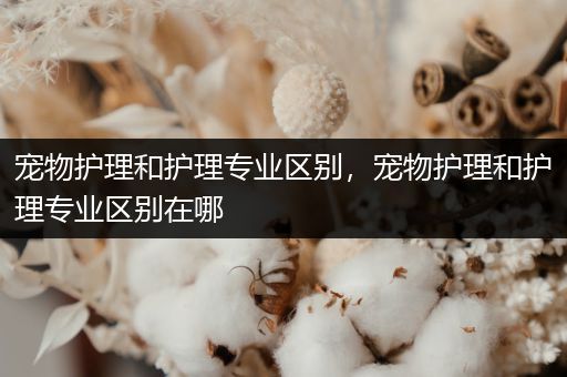 宠物护理和护理专业区别，宠物护理和护理专业区别在哪