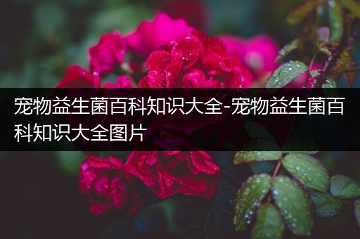 宠物益生菌百科知识大全-宠物益生菌百科知识大全图片