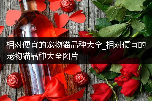 相对便宜的宠物猫品种大全_相对便宜的宠物猫品种大全图片