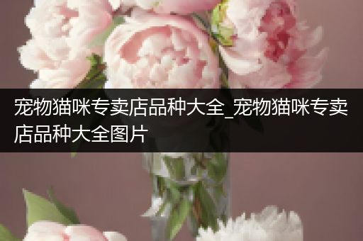 宠物猫咪专卖店品种大全_宠物猫咪专卖店品种大全图片