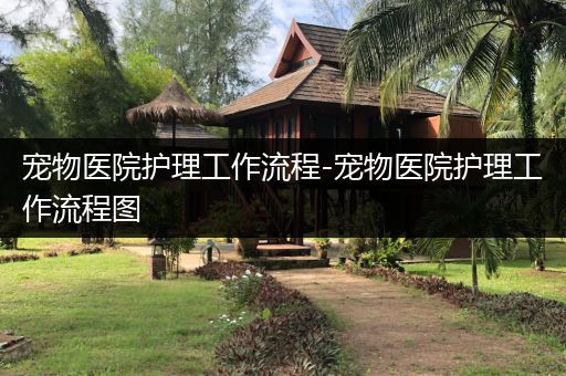 宠物医院护理工作流程-宠物医院护理工作流程图
