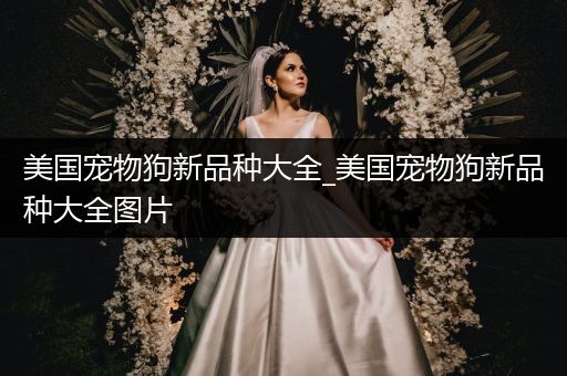 美国宠物狗新品种大全_美国宠物狗新品种大全图片