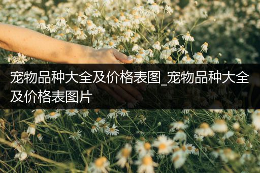 宠物品种大全及价格表图_宠物品种大全及价格表图片