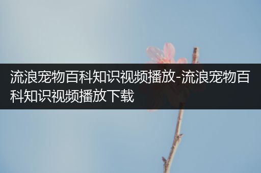 流浪宠物百科知识视频播放-流浪宠物百科知识视频播放下载