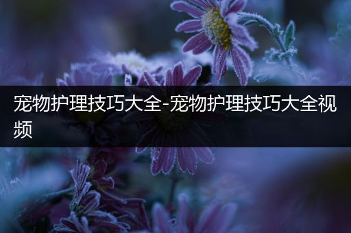 宠物护理技巧大全-宠物护理技巧大全视频
