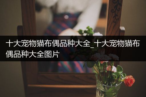 十大宠物猫布偶品种大全_十大宠物猫布偶品种大全图片