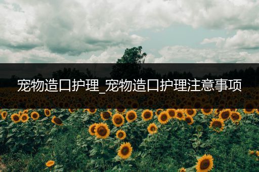 宠物造口护理_宠物造口护理注意事项