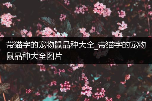 带猫字的宠物鼠品种大全_带猫字的宠物鼠品种大全图片