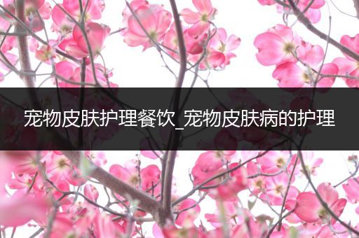 宠物皮肤护理餐饮_宠物皮肤病的护理