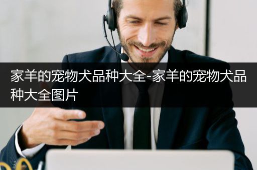 家羊的宠物犬品种大全-家羊的宠物犬品种大全图片