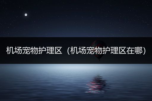 机场宠物护理区（机场宠物护理区在哪）