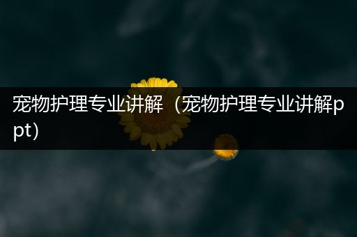 宠物护理专业讲解（宠物护理专业讲解ppt）