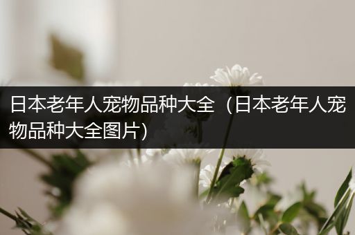 日本老年人宠物品种大全（日本老年人宠物品种大全图片）