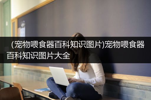 （宠物喂食器百科知识图片)宠物喂食器百科知识图片大全