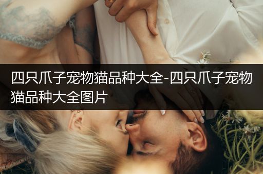 四只爪子宠物猫品种大全-四只爪子宠物猫品种大全图片