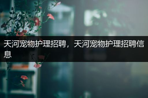 天河宠物护理招聘，天河宠物护理招聘信息