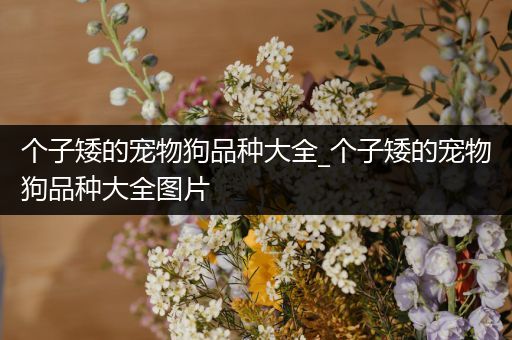 个子矮的宠物狗品种大全_个子矮的宠物狗品种大全图片